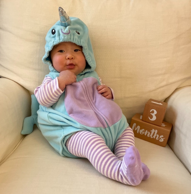 baby narwhal